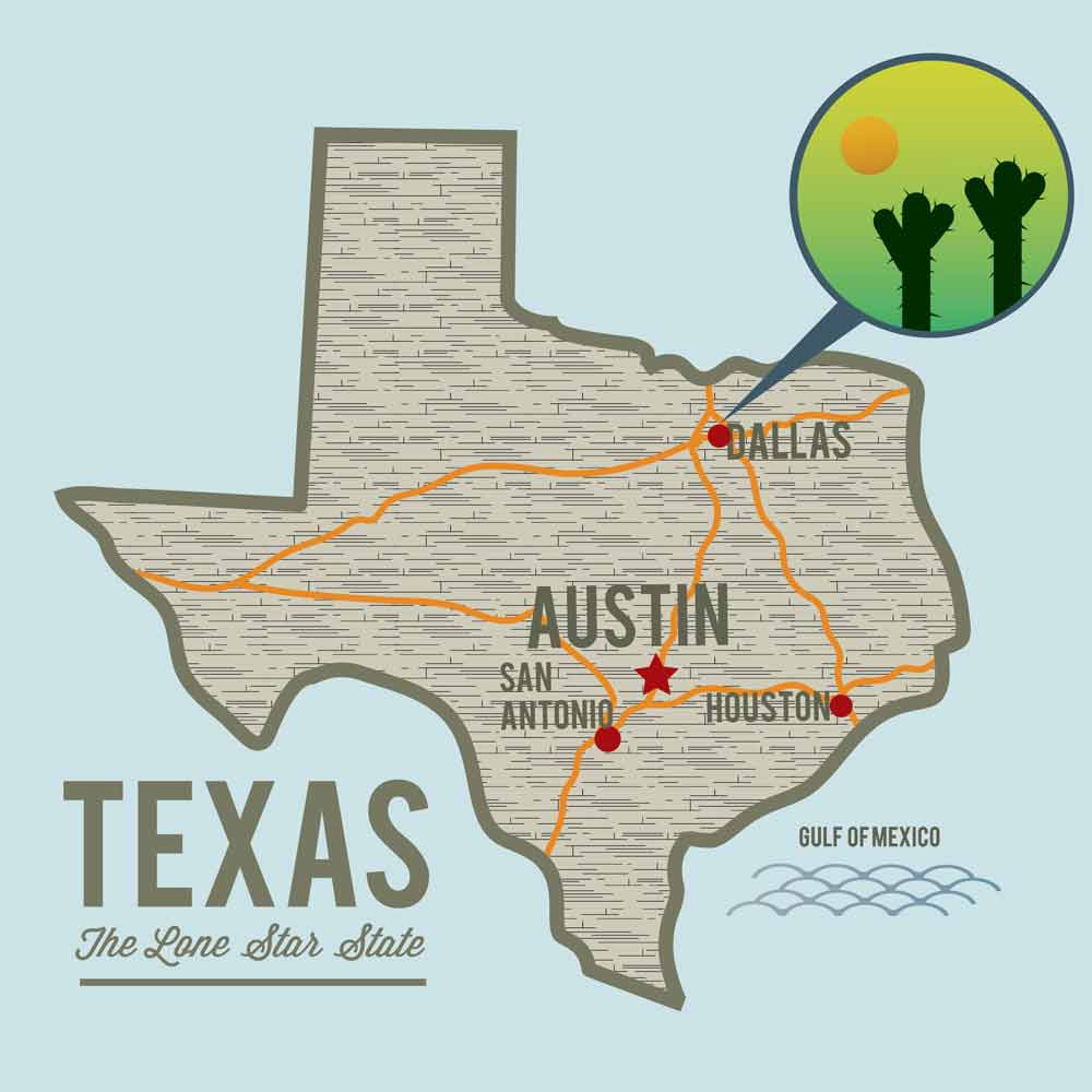 Dallas Texas Map Photo