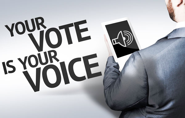 Your Vote is Your Voice banner image