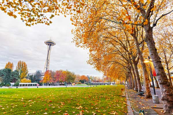 Best Neighborhoods in Seattle for Singles and Young Professionals