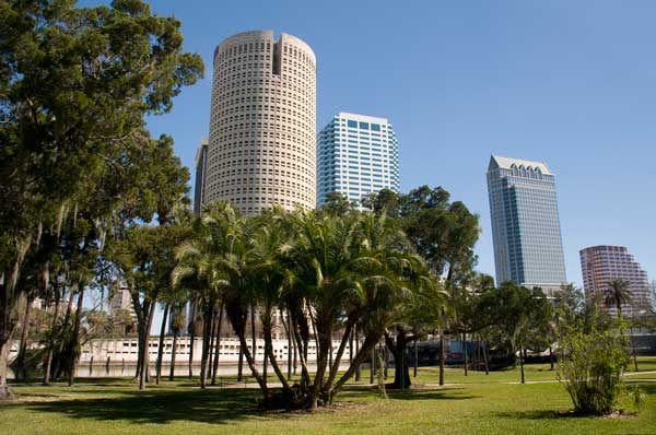 Tampa Bay Skyline