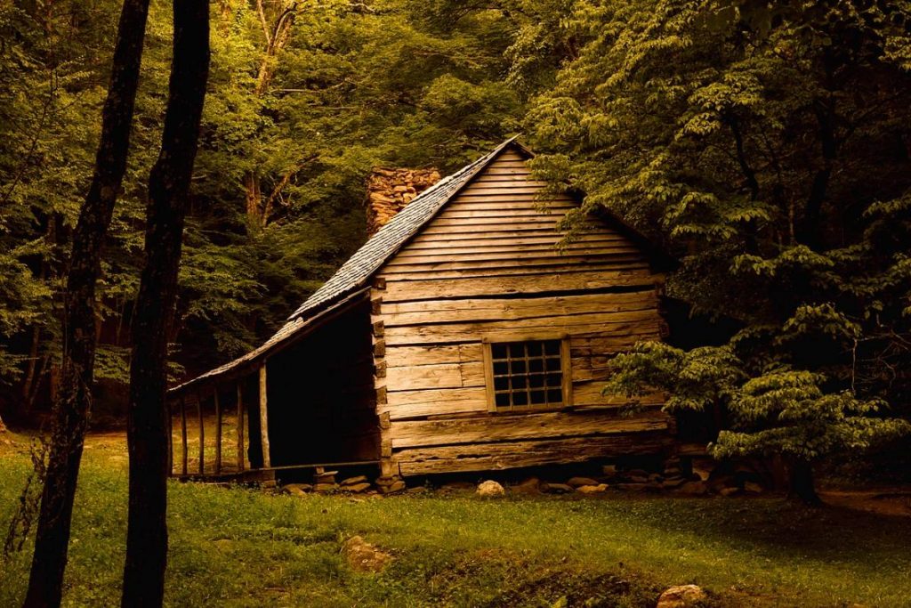 Should You Buy or Build a Log Cabin